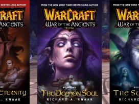World of Warcraft Novel