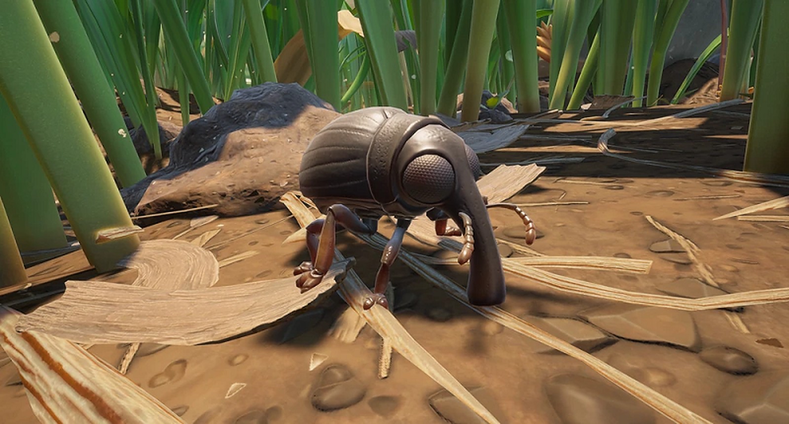Grounded - Weevils Pet